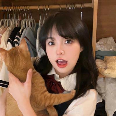 明月守护者